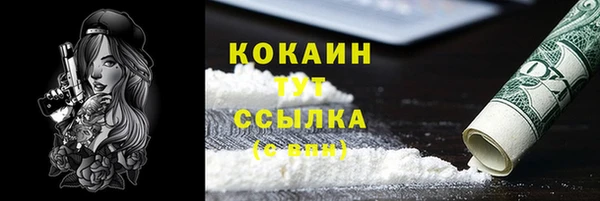 соль ск Пересвет