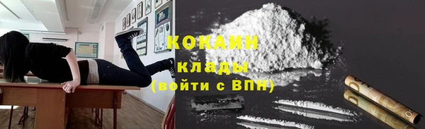 соль ск Пересвет