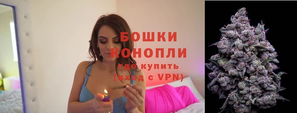 прущие крисы Переславль-Залесский