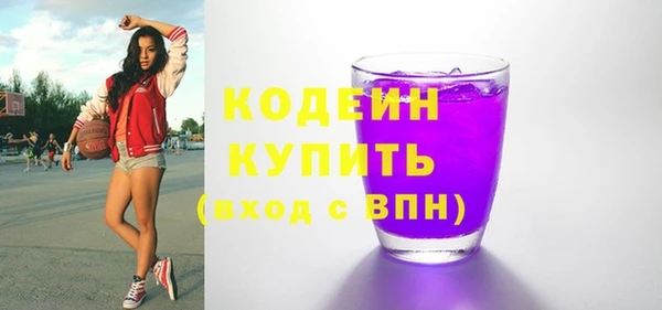 соль ск Пересвет