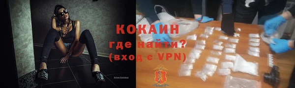 соль ск Пересвет