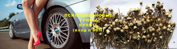 ALPHA-PVP Пестово