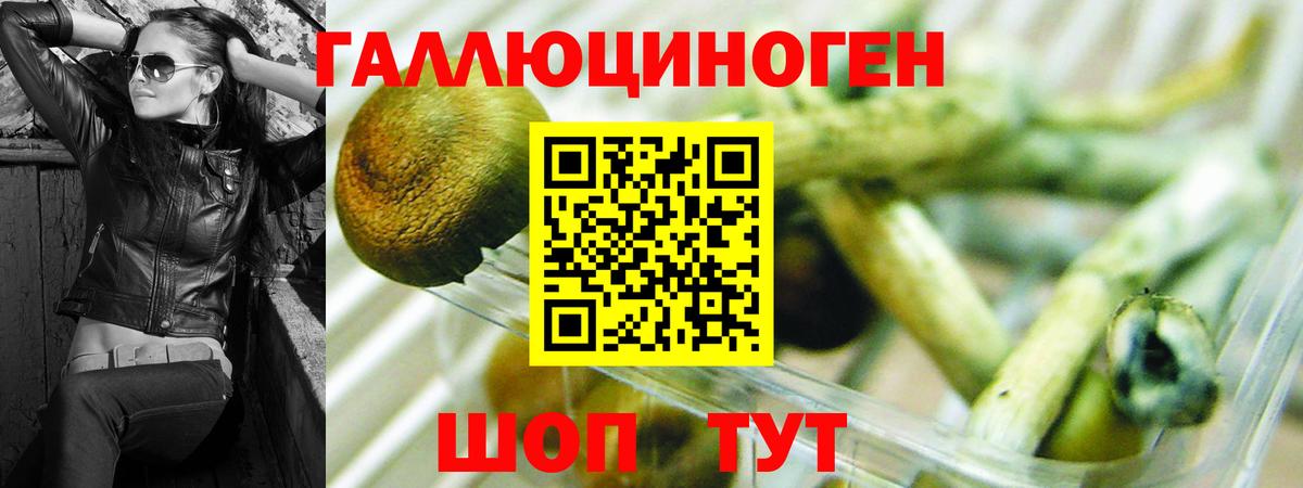 Галлюциногенные грибы Magic Shrooms  Вход с VPN  Советск  Галлюциногенные грибы Psilocybe 