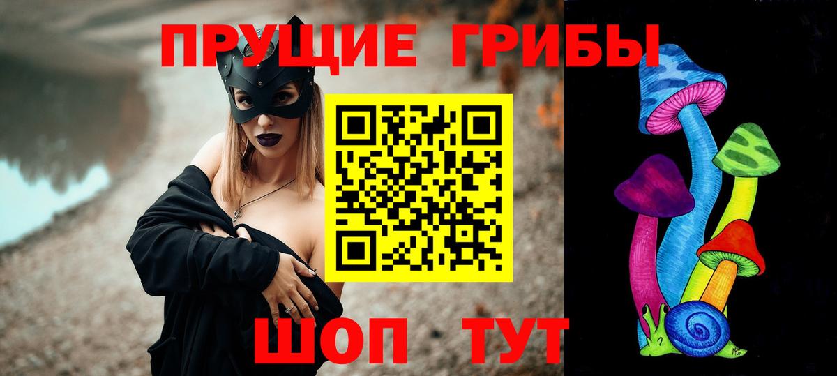 Псилоцибиновые грибы Psilocybe Советск